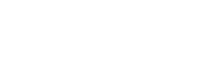 IDS